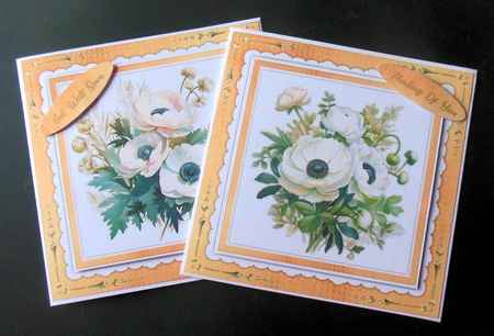 8x8 Mini Kit, Beautiful Ranunculas  by Hazel Sumner