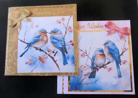 Artistic Blue Birds Card Fronts by Hazel Sumner