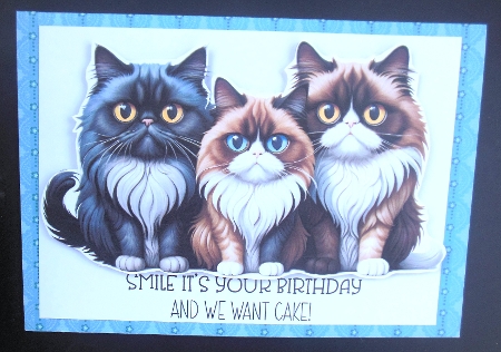 We Want Cake A4 Landscape by Hazel Sumner