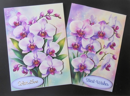 Orchids 5x7 2 by Hazel Sumner