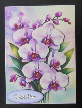 Orchids 5x7 2 by Hazel Sumner