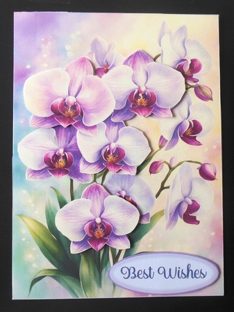 Orchids 5x7 2 by Hazel Sumner