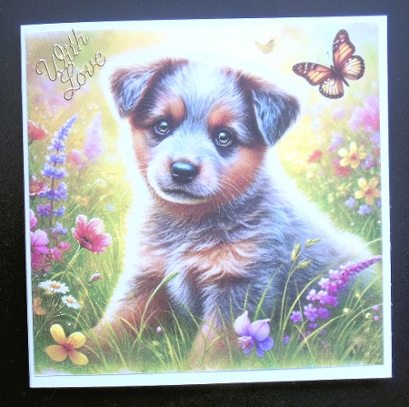 Butterfly Garden Pups 4 by Hazel Sumner