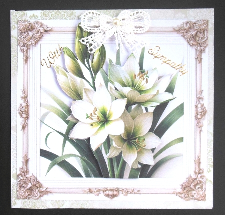 Ornithogalum Grace  by Hazel Sumner