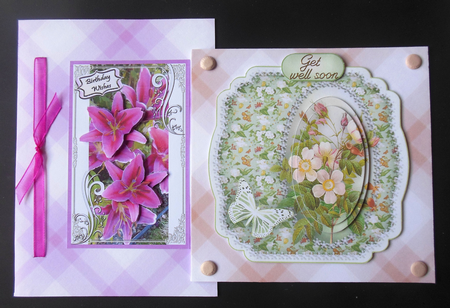 Palaid Paper Pack by Hazel Sumner