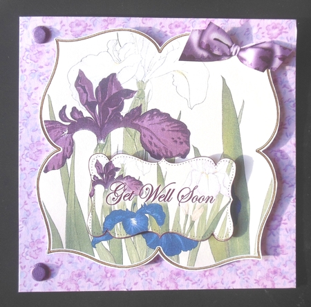 Iris Get Well Soon 8in Large Blooms Fancy Topper by Hazel Sumner
