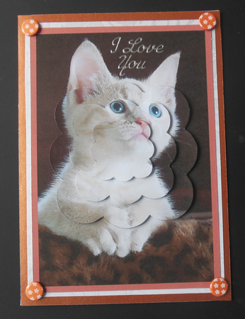 Cute Kitty Scalloped Pyramid by Hazel Sumner