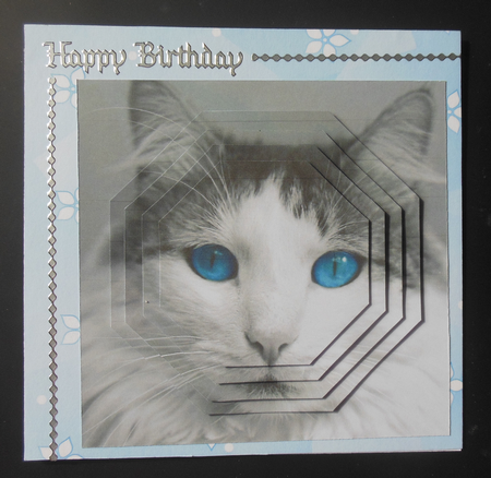 Furry Friends & Familiars - Cats - Old Blue Eyes +insert+tag by Hazel Sumner