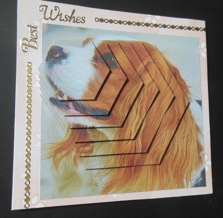 Furry Friends & Familiars - Dogs - King Charles Spaniel Tag+ by Hazel Sumner