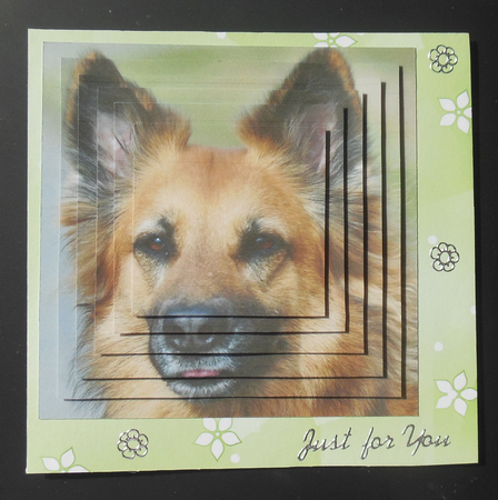 Furry Friends & Familiars - Dogs - German Shepherd 3 + Tag + by Hazel Sumner