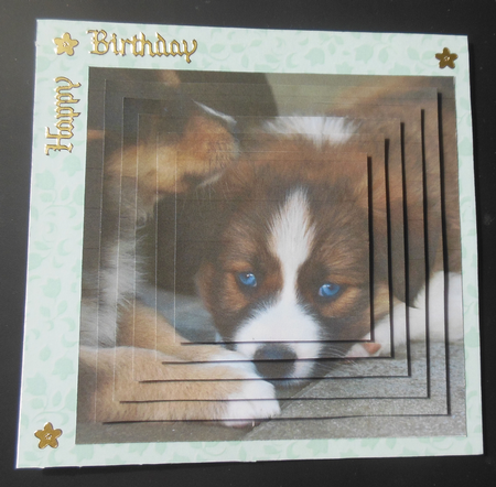 Furry Friends & Familiars - Puppy Pals + Insert & Tag by Hazel Sumner