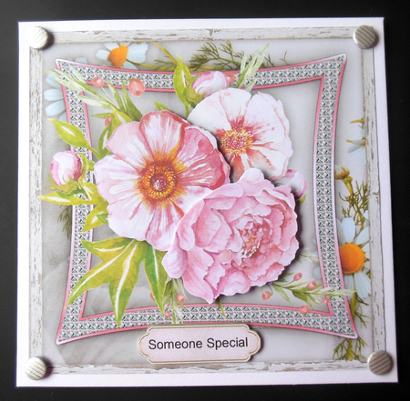 Beautiful Roses on Pink Bevelled Frame  by Hazel Sumner