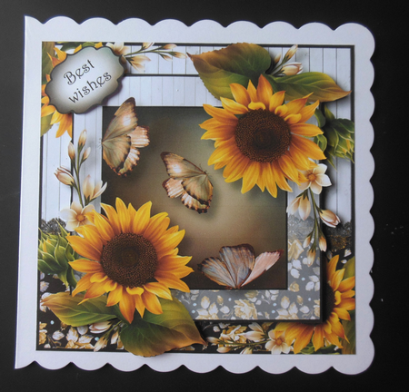 Beautiful Sunflowers & Flutters 8x8 by Hazel Sumner