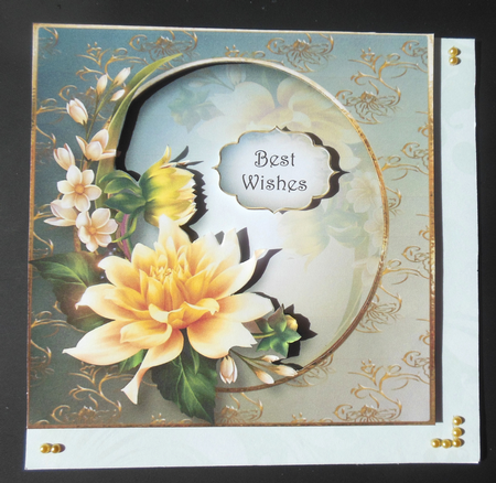 The Yellow Dahlia 8x8 by Hazel Sumner