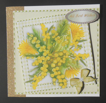 Mimosa in a Saddle Stitched Frame  2, by Hazel Sumner