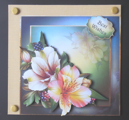 Pretty Peruvian Lily 8x8 by Hazel Sumner
