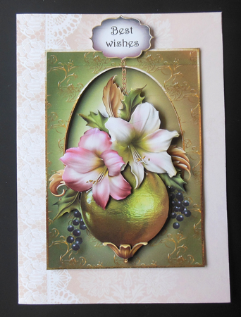 Christmas Amaryllis by Hazel Sumner