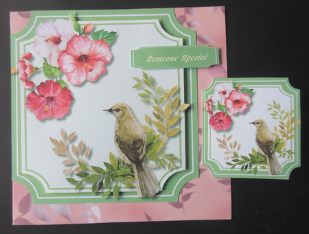 Beautiful Bird on a Branch 3 by Hazel Sumner