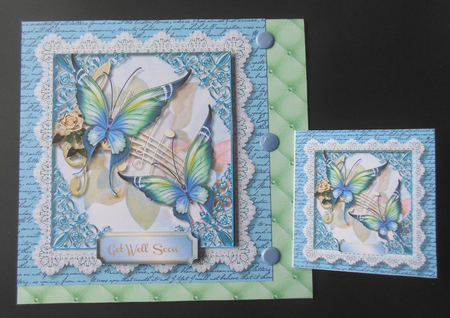 Beautiful Butterflys and Lace   1 by Hazel Sumner