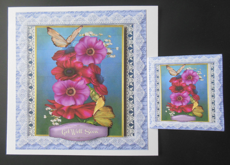 Beautiful Anemones and butterflys by Hazel Sumner