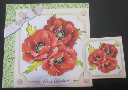 Stunning Poppieson cut out Mat  by Hazel Sumner