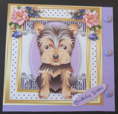 Adorable Yorkie in a Stitched frame  by Hazel Sumner