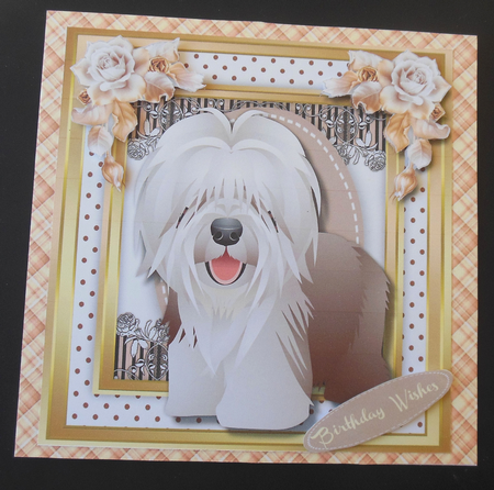 Adorable Sheepdog  in a Stitched frame  by Hazel Sumner