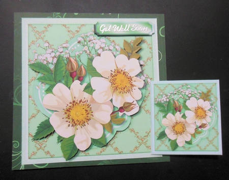 White Brier Roses on a Golden Mat by Hazel Sumner