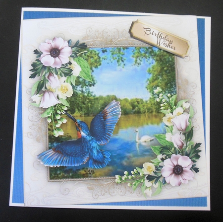 Stunning Humming Bird and Jasmine by Hazel Sumner
