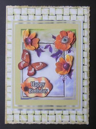 orange anemones greeting s by Hazel Sumner