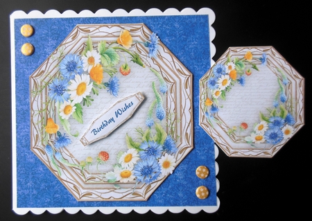 Beautiful Octagonal Daisys and Cornflowers  by Hazel Sumner