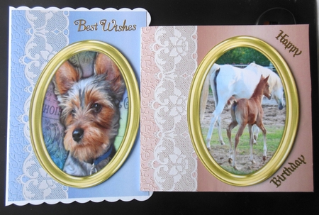 Luscious Lace Background Paper Pack by Hazel Sumner