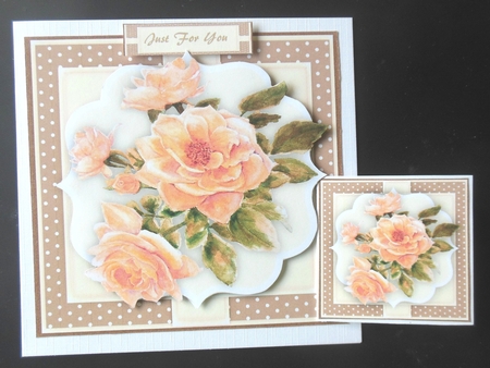 Beautyiful  Apricot roses by Hazel Sumner