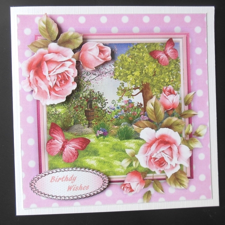 Stunning Roses and Butterflys  by Hazel Sumner