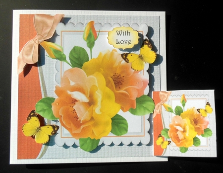 pretty peach/lemon roses with butterflies and bow 8x8 by Hazel Sumner