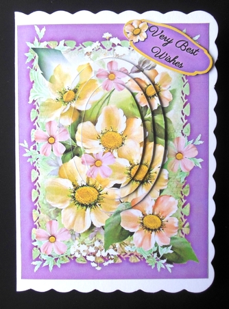daisies with love by Hazel Sumner