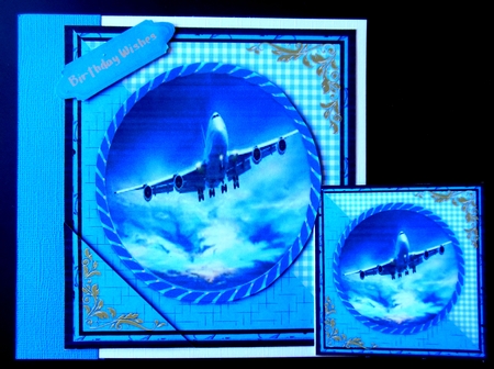 Flight in the Night Sky  by Hazel Sumner