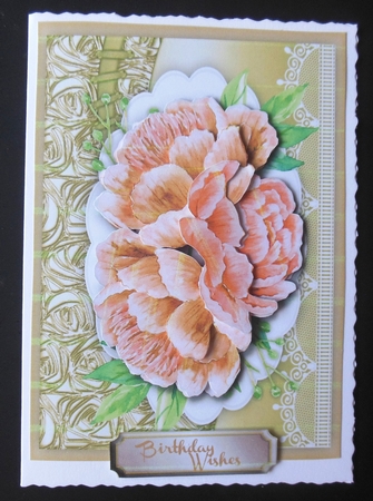 Beautiful Roses on a Buff mat  by Hazel Sumner