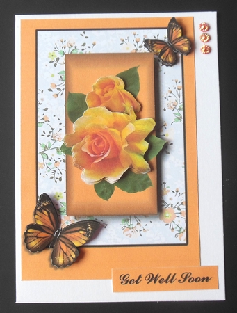 get well soon with orange roses and butterflies by Hazel Sumner