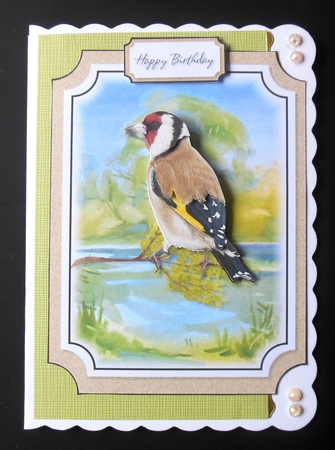 Bird 8 by Hazel Sumner