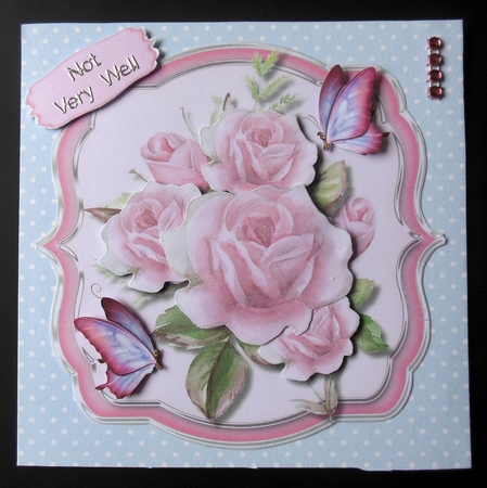 Love Roses and Butterflys by Hazel Sumner