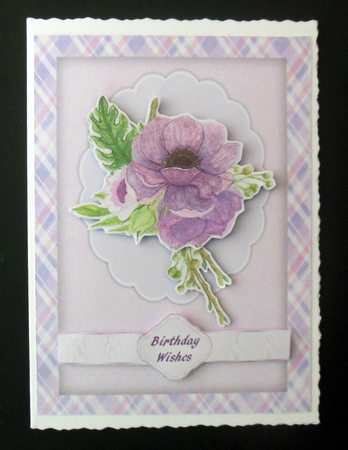 Violet  Anemones on a Scalloped mat  by Hazel Sumner