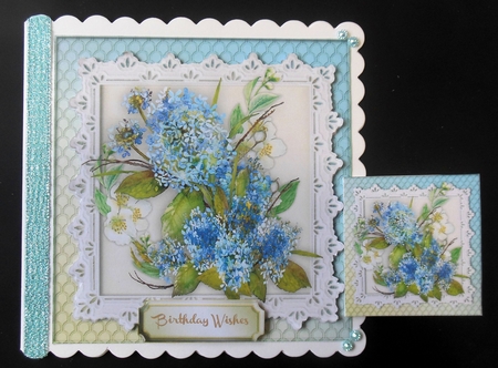 Beautiful Hydrangers and Jasmin  by Hazel Sumner