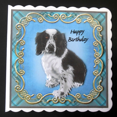 WELSH SPRINGER SPANIEL mini kit for men by Hazel Sumner