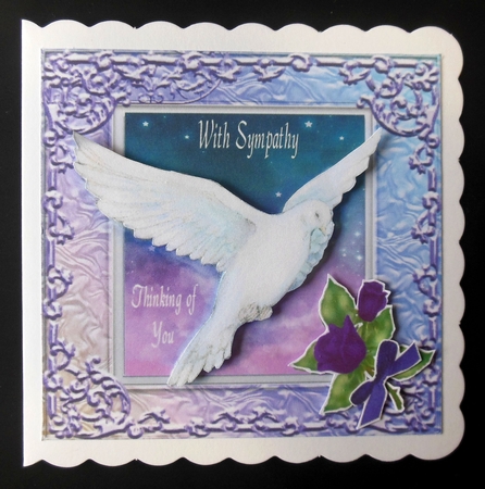 Beautiful Dove by Hazel Sumner