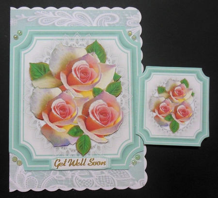 Beautiful Peach Roses on lace  by Hazel Sumner