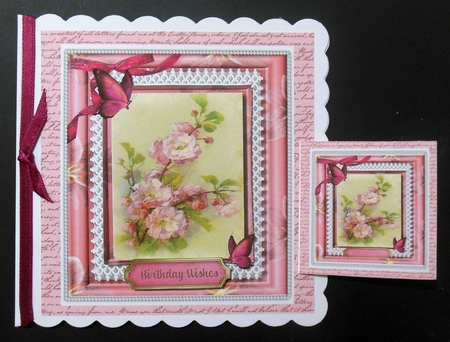 Lovely Blossom and Butterflys  by Hazel Sumner