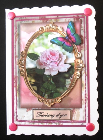 best wishes childrens rose by Hazel Sumner