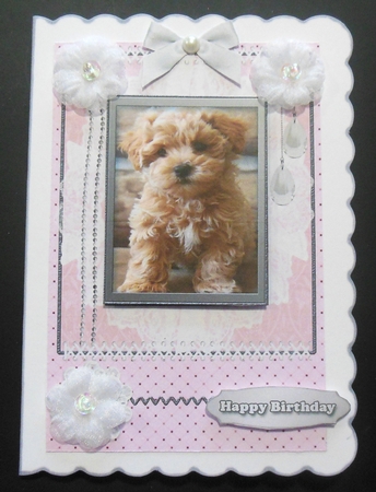 Cute Birthday dogs by Hazel Sumner