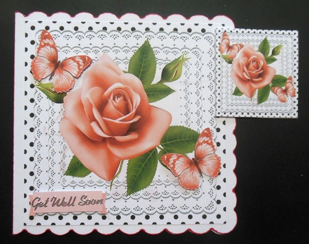 pretty peach roses on lace with butterflies and black polkadot 8x8 by Hazel Sumner